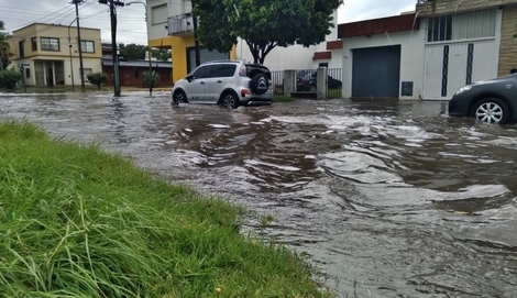 Sin Foto