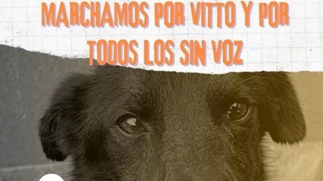 Sin Foto