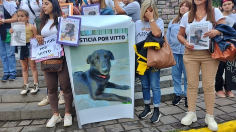 Sin Foto