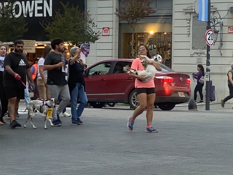 Sin Foto