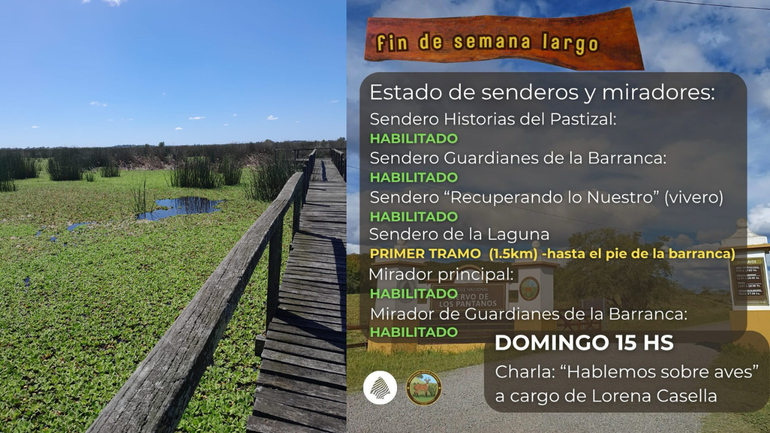 Sin Foto
